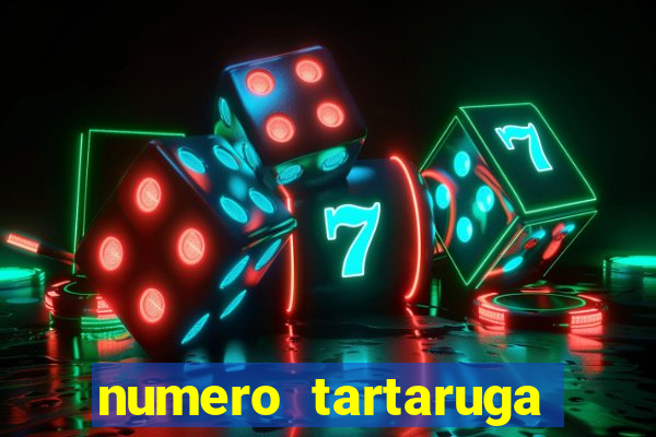 numero tartaruga jogo do bicho