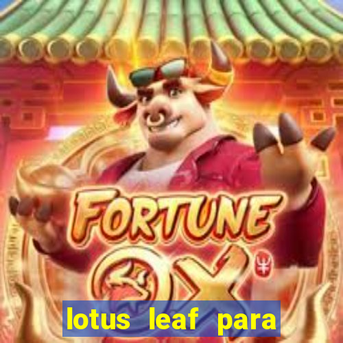 lotus leaf para que serve