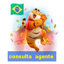 consulta agente autuador sp