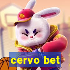 cervo bet