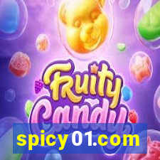 spicy01.com