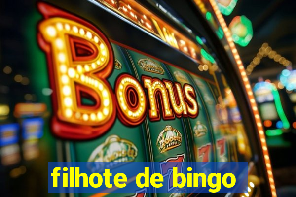 filhote de bingo