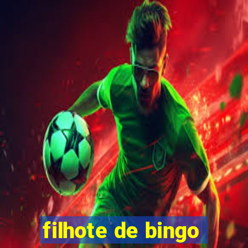 filhote de bingo