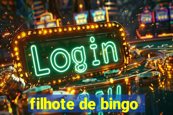 filhote de bingo