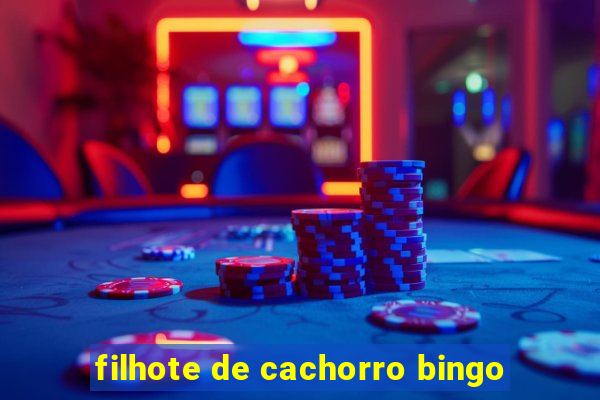 filhote de cachorro bingo