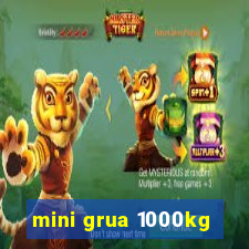 mini grua 1000kg