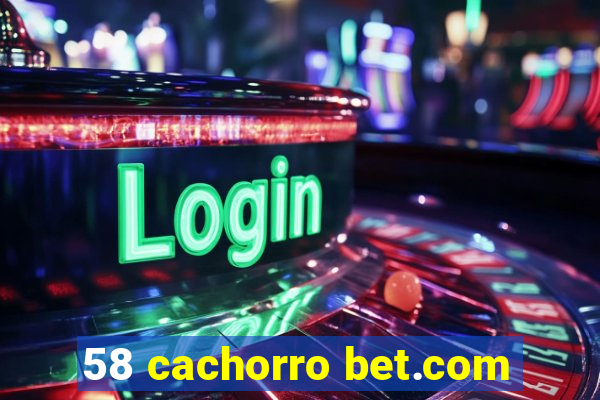 58 cachorro bet.com