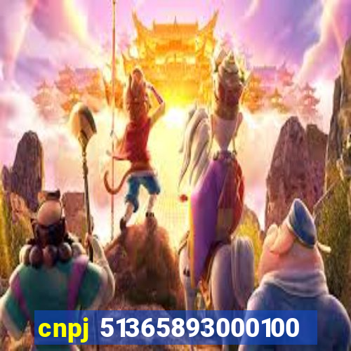 cnpj 51365893000100