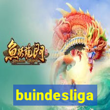 buindesliga