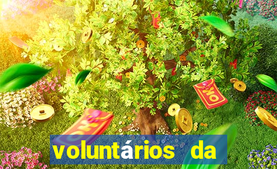 voluntários da pátria 547