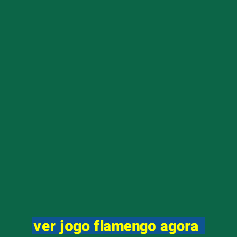 ver jogo flamengo agora