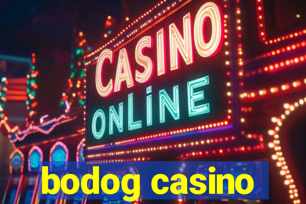 bodog casino