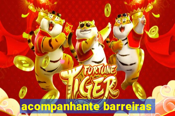 acompanhante barreiras