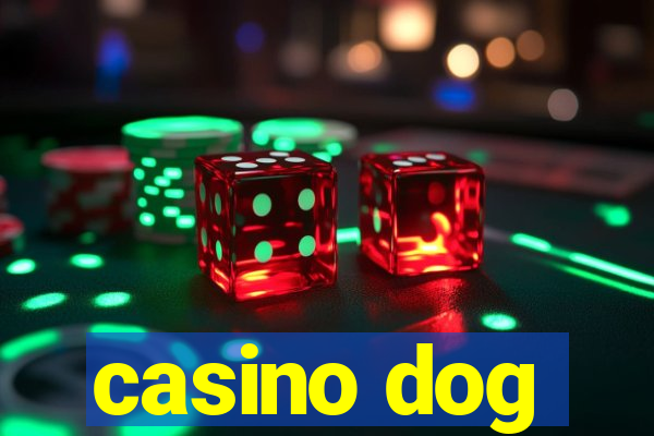 casino dog