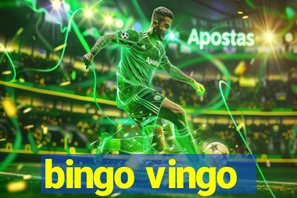 bingo vingo