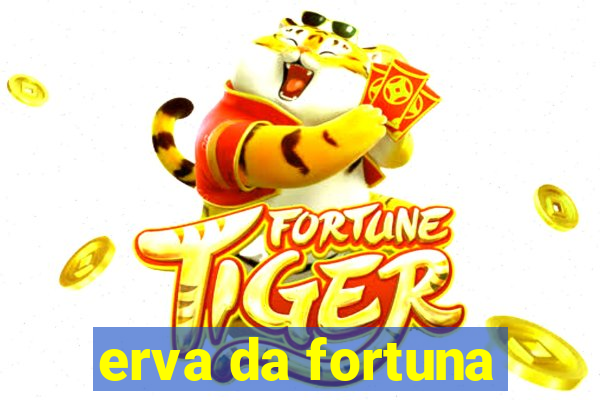 erva da fortuna