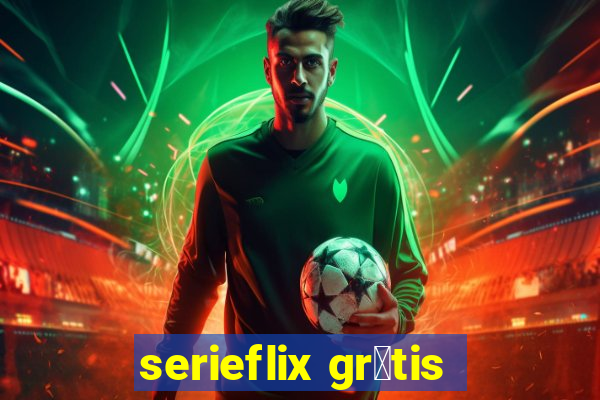 serieflix gr谩tis