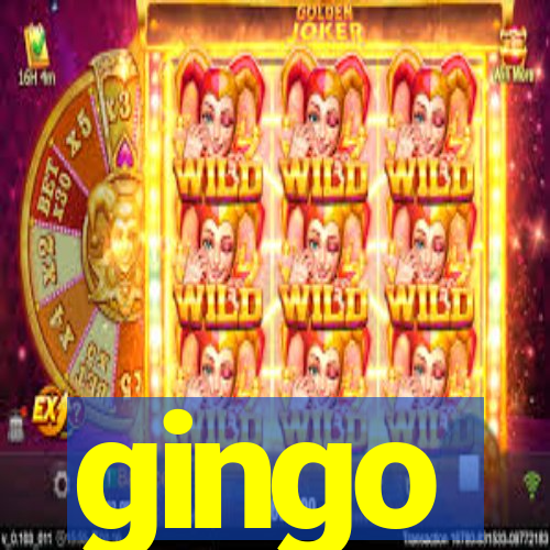 gingo