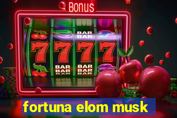 fortuna elom musk