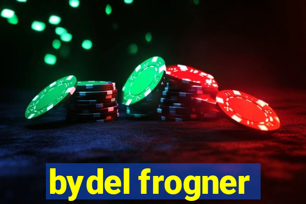 bydel frogner