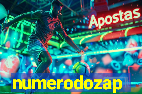 numerodozap