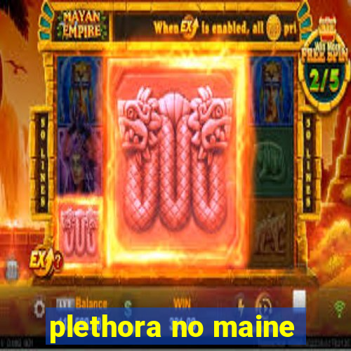 plethora no maine