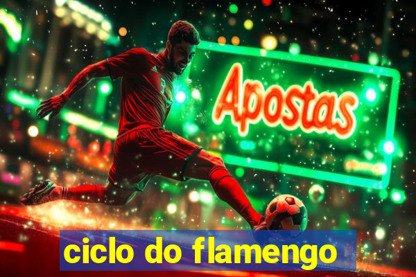 ciclo do flamengo