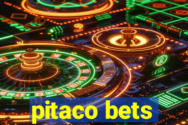 pitaco bets