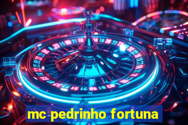 mc pedrinho fortuna