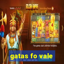 gatas fo vale