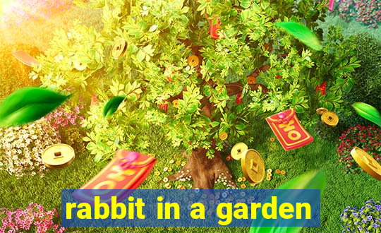 rabbit in a garden