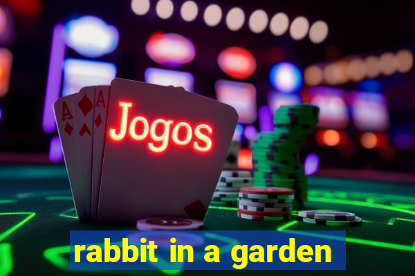 rabbit in a garden