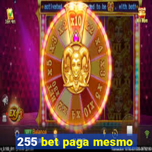 255 bet paga mesmo