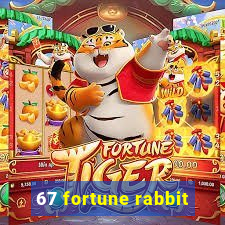 67 fortune rabbit