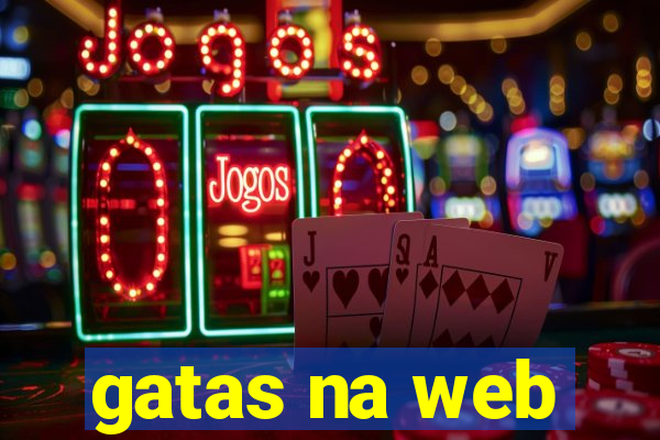 gatas na web