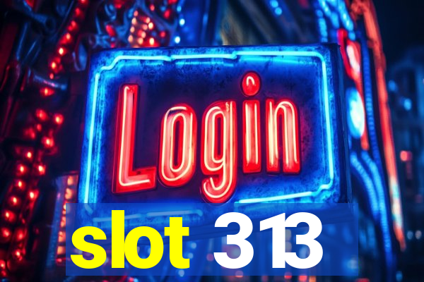 slot 313