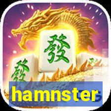 hamnster