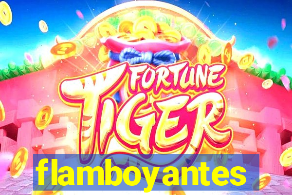 flamboyantes