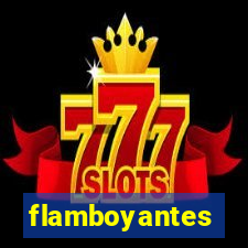 flamboyantes