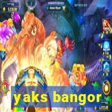 yaks bangor