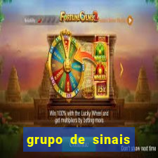 grupo de sinais fortune rabbit