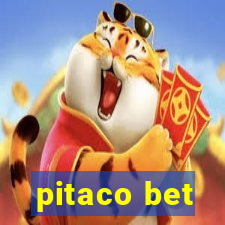 pitaco bet