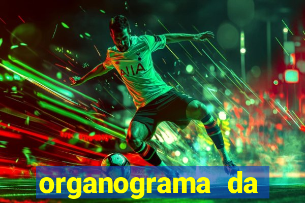 organograma da cacau show