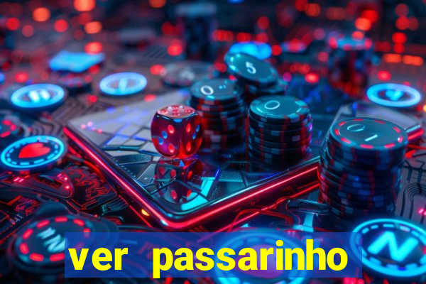 ver passarinho morto significado