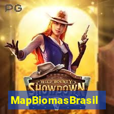 MapBiomasBrasil