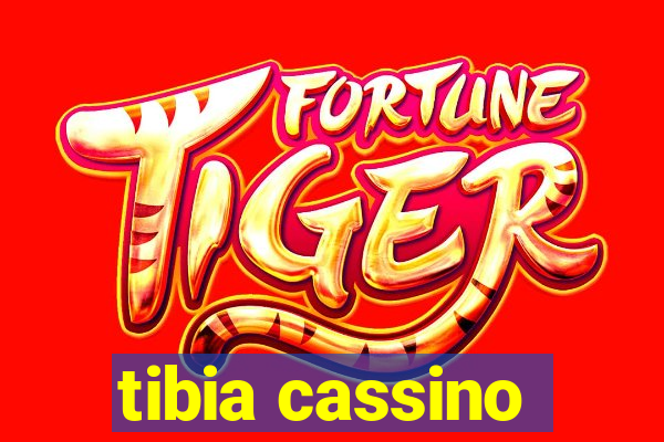 tibia cassino