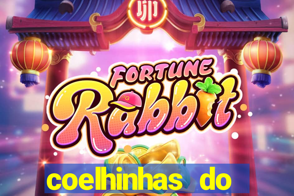 coelhinhas do brasil acompanhantes