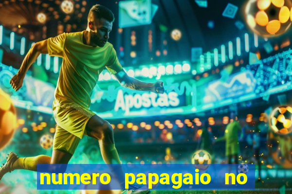 numero papagaio no jogo do bicho