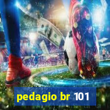 pedagio br 101