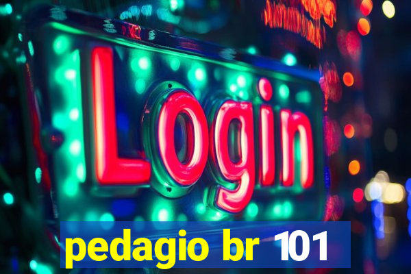 pedagio br 101